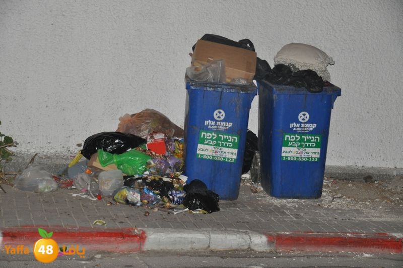 trash lud 907 (22).JPG